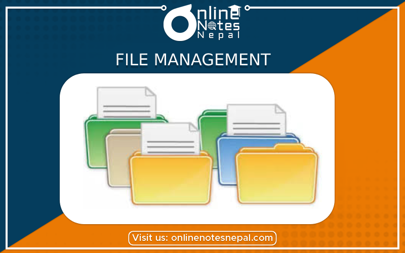 File Management